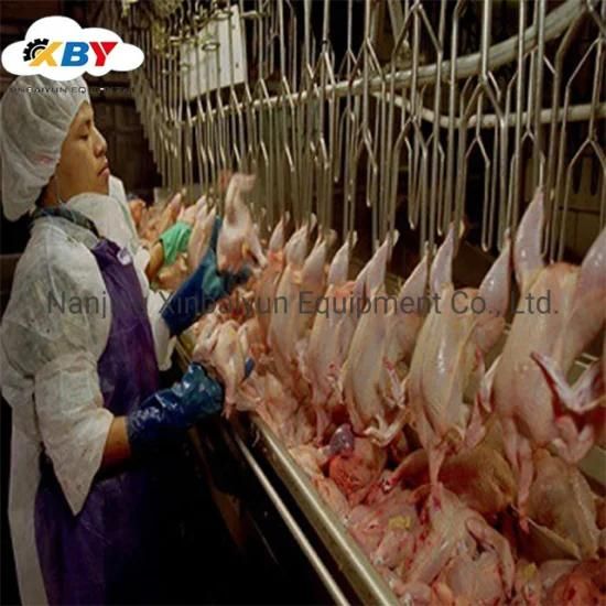 Islamic Halal Chicken Slaughtering Line