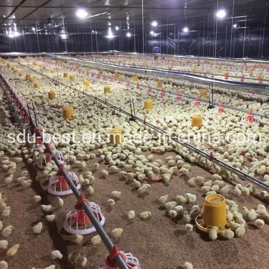 Automatic Broiler Chicken House Poultry Farming Drinker and Feeder