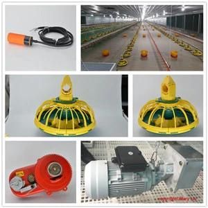 Automatic Professional Design Feeding and Drinking Equipment for Poultry House