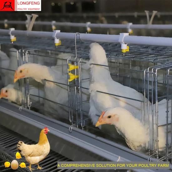 Longfeng Good Service Mature Design Professional Electric Poultry Farm Equipment with ...