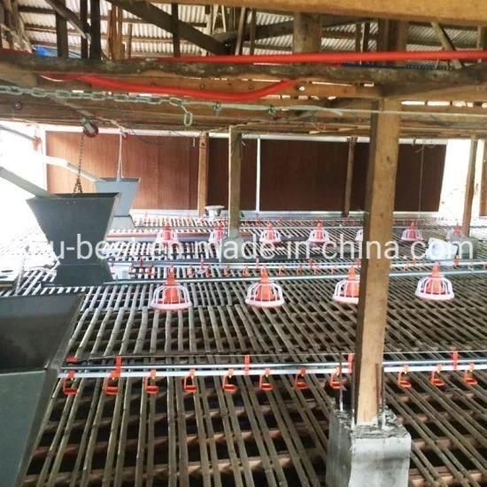 Steel Structure Livestock Chicken House Poultry Feeder and Drinker