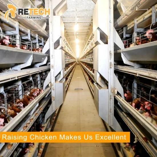 Automatic H Type Chicken Layer Battery Cage for Large-scale farm