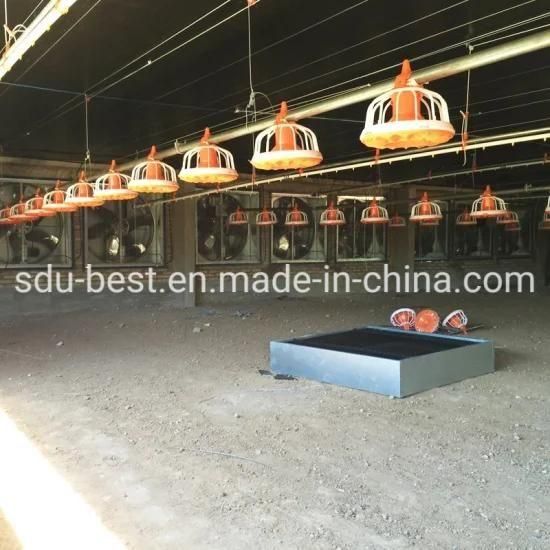 Animal Feeders Chicken Farming Equipment for Poultry House