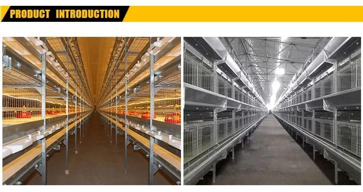 Hot galvanized poultry battery cage broiler chicken farm equipment
