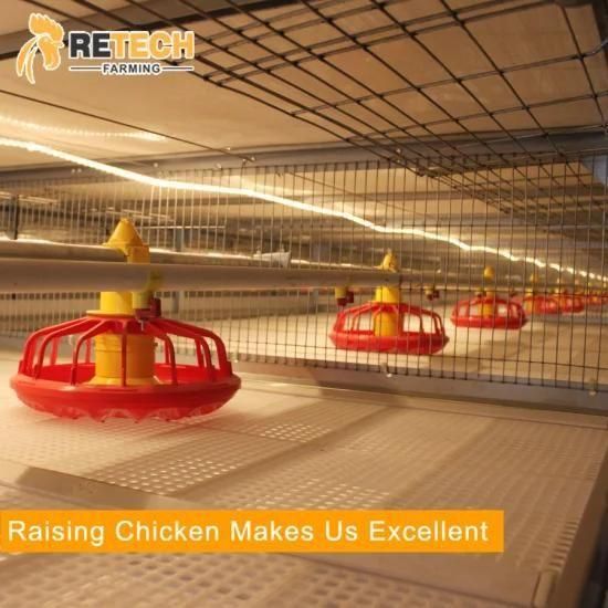 Chicken Cage System Automatic Chicken Feeder for Poultry Farm