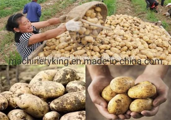 Automatic Potato Harvester for Digging Potato Onion Garlic Potato Carrot Harvester Machine