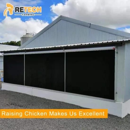Factory Outlet Pullet Raising Equipment with Competitive Price