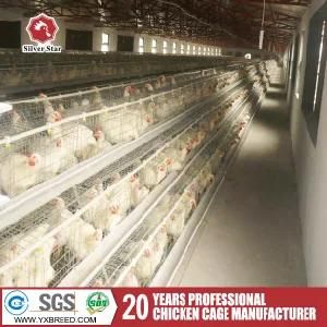 Poultry Equipment for Sale Philippines