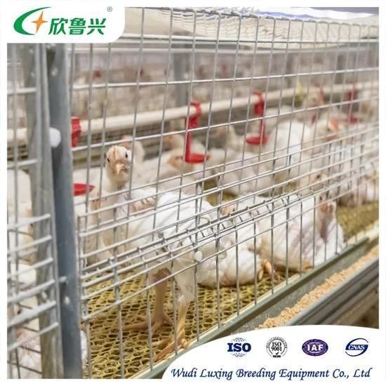 Design Broiler Poultry Equipment Automatic 3 Tiers 4 Tiers H Type Poultry Cages for ...