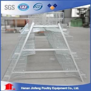 Jinfeng Broiler Poultry Equipment (JF009)