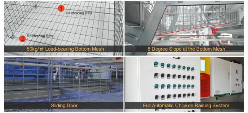Modern Design Automtic Egg Chicken Battery Equipment Poultry Farm Layer Cages