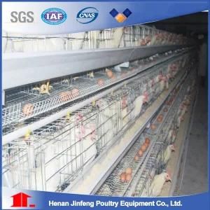 2018 Hot Sale High Quality of Automatic Chicken Cage