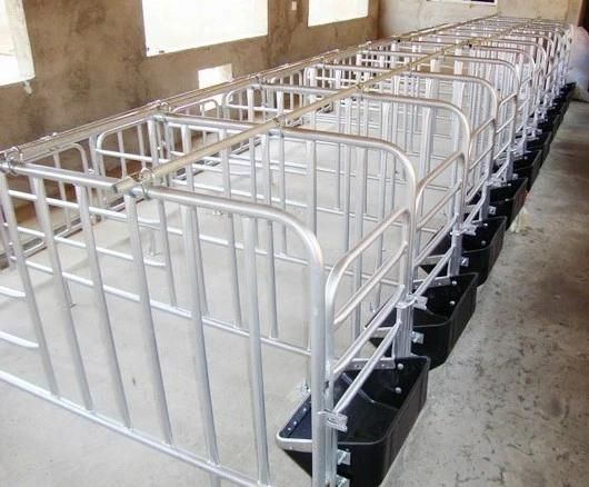 Professional High Process Pig Farrowing Crate for Pig Equipment