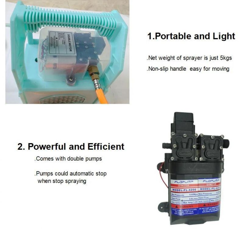 Portable Powerful Double-Pump Agriculture Electric Sprayer