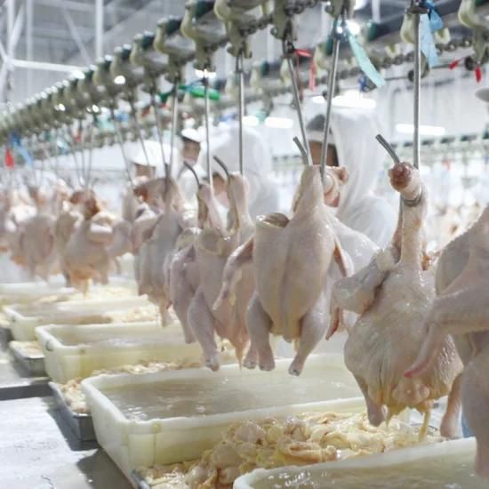 Chicken Slaughter Hanger/Chicken Slaughter Conveyor/Chicken Meat Processing Equipment