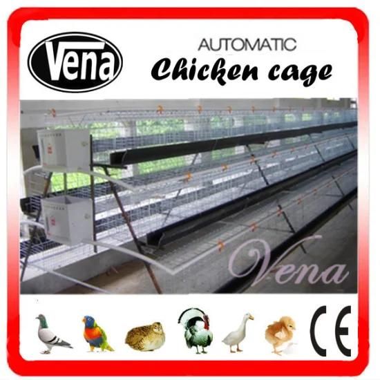 Automatic Chicken Cage