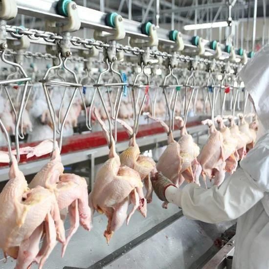 Automatic Chicken Farming Equipment Russian Halal Chicken Slaughter Machine Price