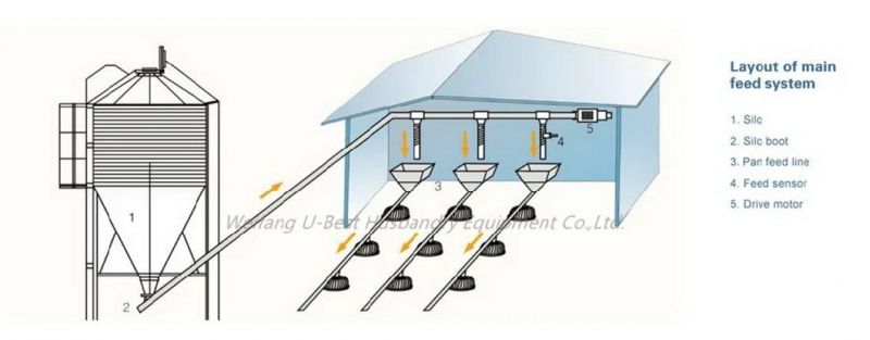 Poultry Farming Equipment Layer/Breeder/Broiler Chicken with Automatic System for Sale