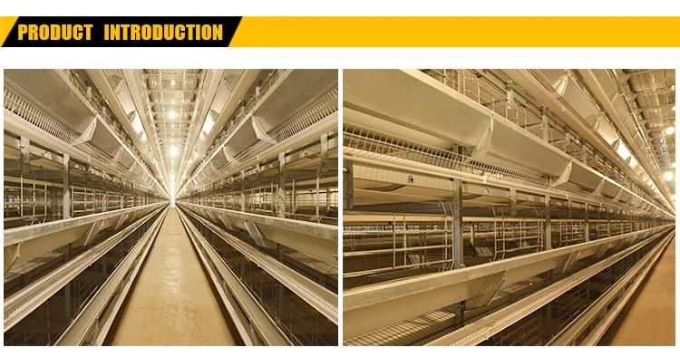Automatic Hot DIP Galvanized Chicken Battery Layer Cage for Sale