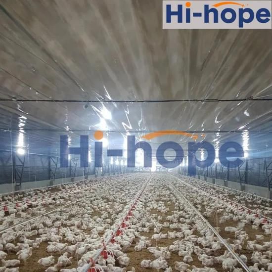 Husbandry Meat Chicken Farm Automatic Complete Equipment