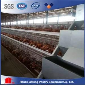 Poultry Farms Chicken House Use A390-Type Laying Hen Chicken Cage