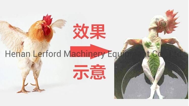 Scalding Plucking Machinery Chicken Plucker for Poultry Feather Removal Machine Scalded Duck Goose