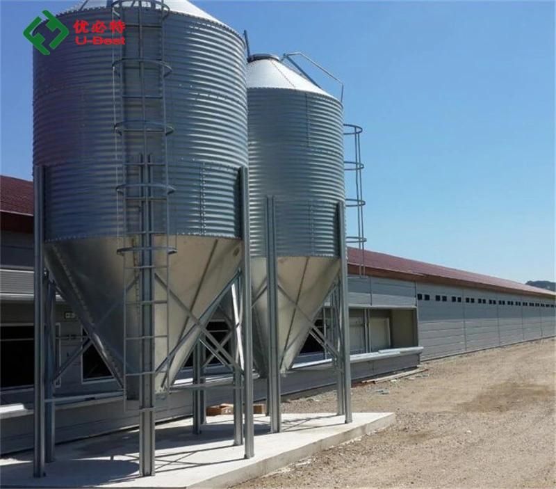 Philippines Design Poultry Equipment for Broiler Feeding System
