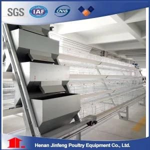 a Type Laying Hen Cages From Henan Jinfeng China