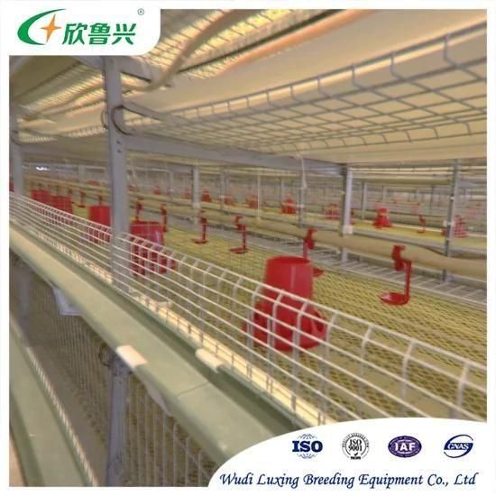Chicken Cage H Frame Style Feeding Broiler Layer Cage