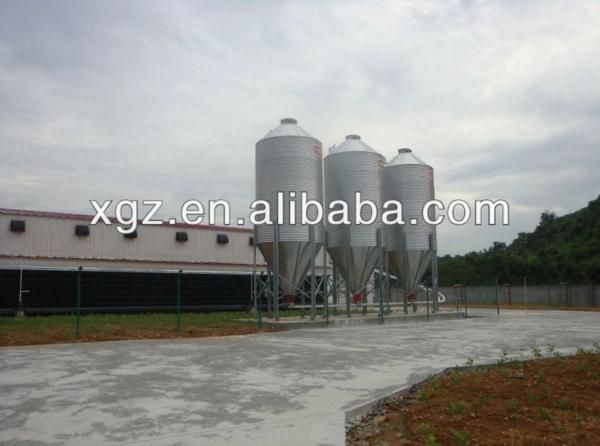 Prefabricated Steel Structure House and Equipment for Broiler & Layer of Polutry Shed