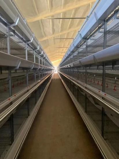 Battery Cage System for Broilers/Chicken Layer/Egg Chicken