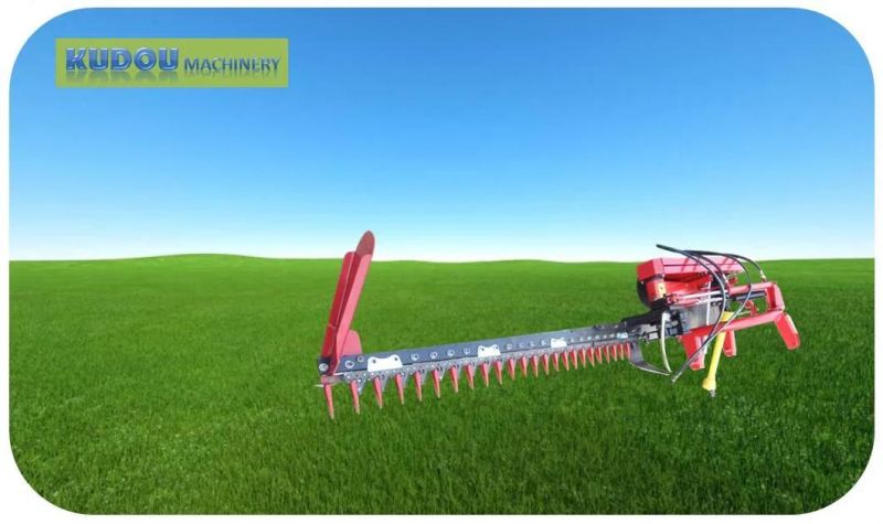 Reciprocating Pasture Mowing Machine/ Tractor Grass Cutter/Kentucky Blue Grass/Fescue Mower (factory selling customization)