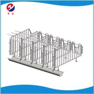 Gestation Stall or Individual Stall for Pigs/ Free Sample for Pig Farm