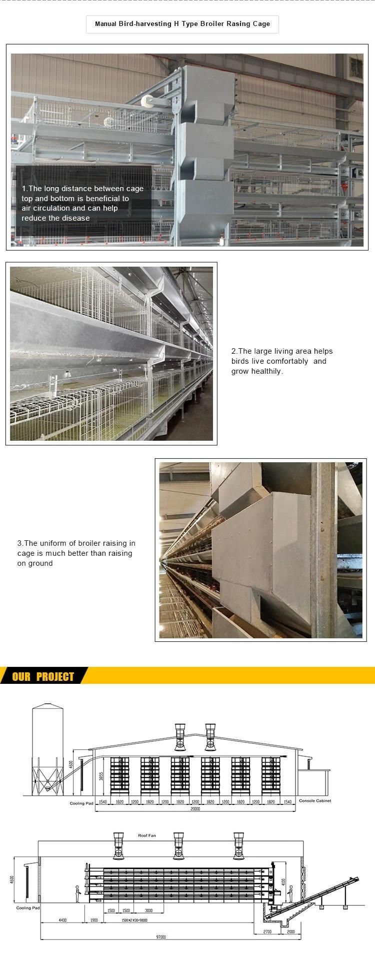 3 Tiers Poultry Shed Steel Structure Broiler Raising Battery Cages