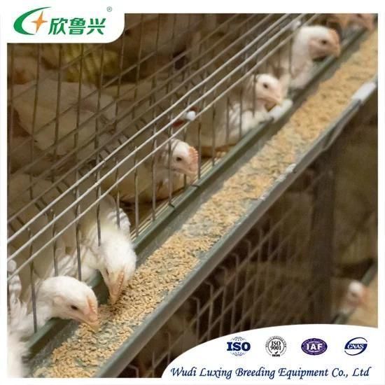 Chicken Breeding Equipment Technology Full Automatic H Type Chicken Layer Cage Price for ...