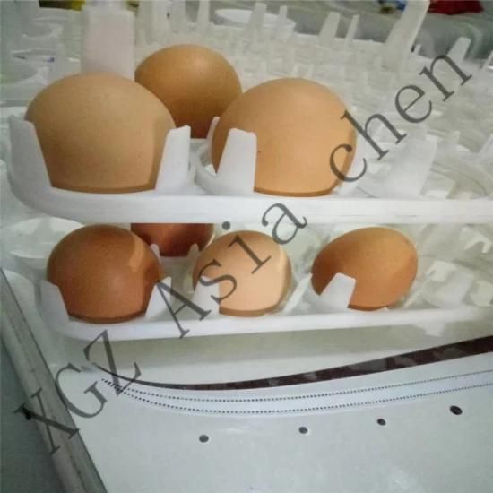 Wholesales Price Plastic Egg Crate High Quality Plastic Chicken Egg Transport Crate