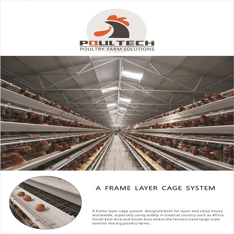 Best Quality a Frame Layer Chicken Cage System for Nigeria Market