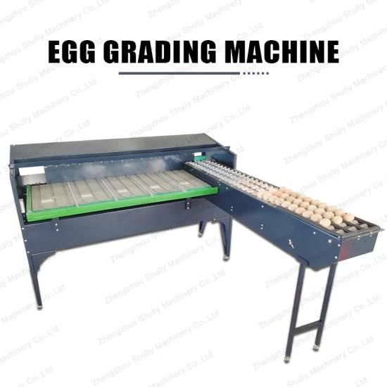Large Automatic Weight Divide Eggs Sorter for Duck/Quail /Goose/Chicken Egg