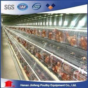 a Type Battery Chicken Cage for Laying Hens