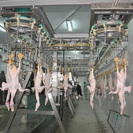 Quail 600bph Slaughter Machine Chicken Line Halal