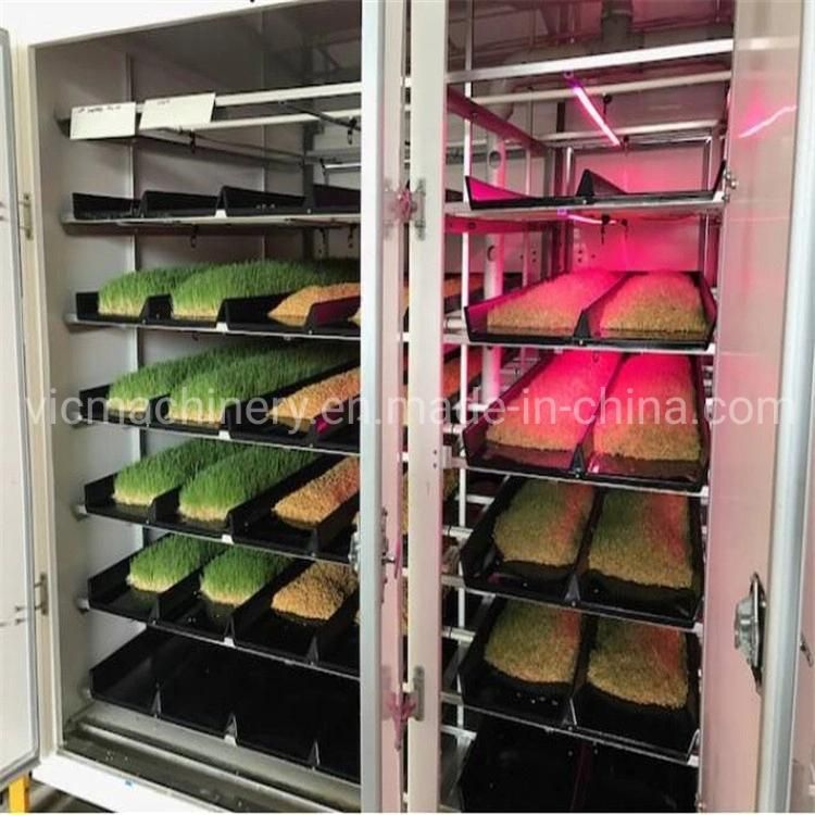 1000kg/d New Type Hydroponic Fodder Growing Systems Wtih Stainless Steel Trays