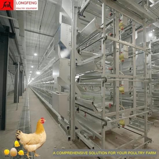Computerized Low Egg Broken Rate Large Scale Poultry Farming 96 Birds-384 Birds Per Set