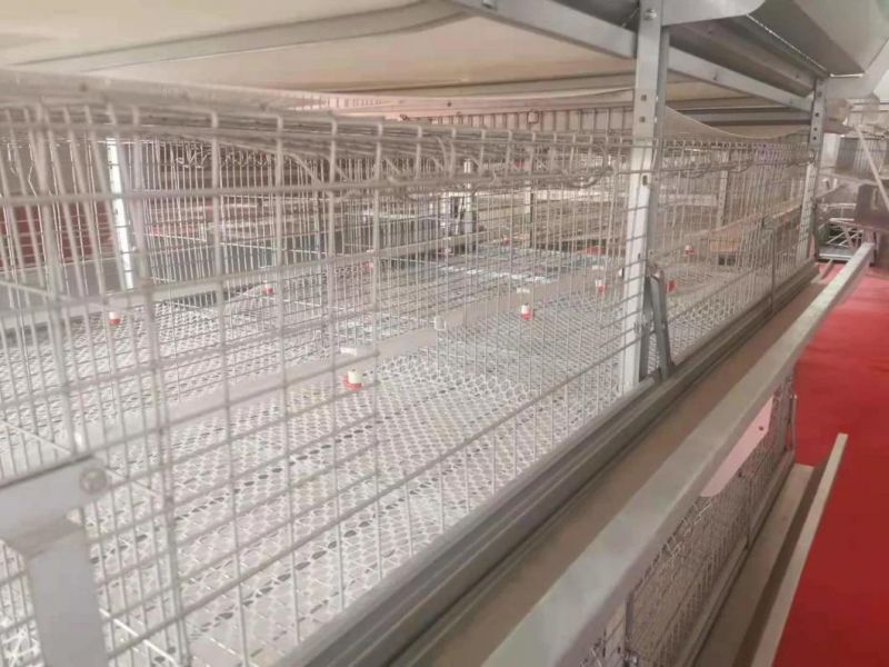 6 Tires Brioler Cage for Selling Layer Rearing
