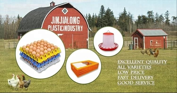 Cheap Price Plastic Broiler Chick Water Drinker Chicken Poultry Drinkers for Farm
