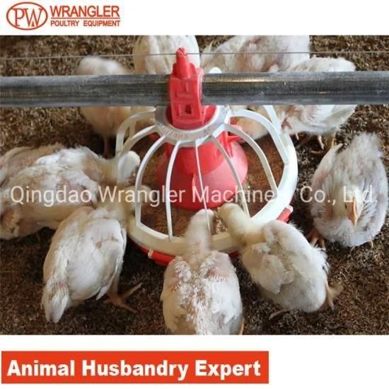 Poultry Feeder for Broiler Automatic Farm Equipment
