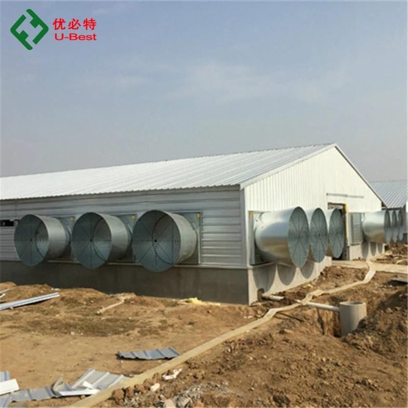 Automatic Poultry Farming System Chicken Broiler Farm Equipment Open House Battery Multitier Layer Broiler Chicken Cage