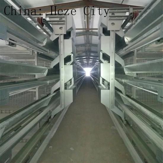 Xgz Group's Very Advanced H-Type Laying Hen Cage Equipment