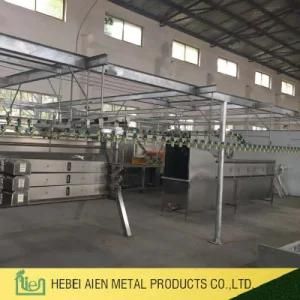 Poultry Chicken Slaughterhouse Slaughtering Equipment