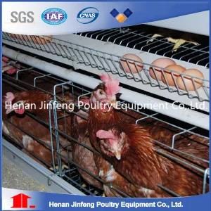Galvanized Chicken Cage/Bird Cage for Layers