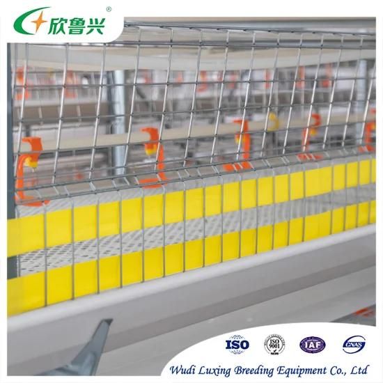 Best Selling Products Huaxing Equipment Poultry Automatic Drinker Pakistan Battery Cage in ...